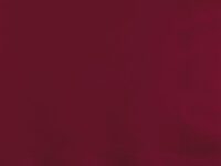 BUBEV - 2-Ply Burgundy Beverage Napkins