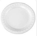 9FOAM - 9" Foam Plate