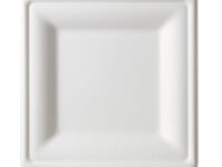 1010SC - 10" Square White Plate Bagasse