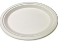 SCPLATLG - 10x12 Bagasse Platter