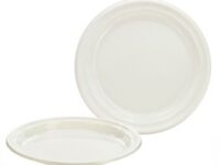 10PLAS - 10" White Plastic Plate